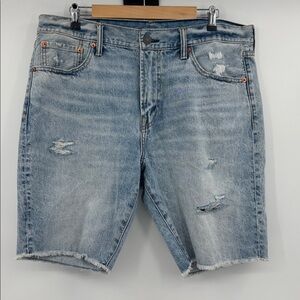 American Eagle Outfitters pride distressed raw‎ hem denim shorts-NWT size 36